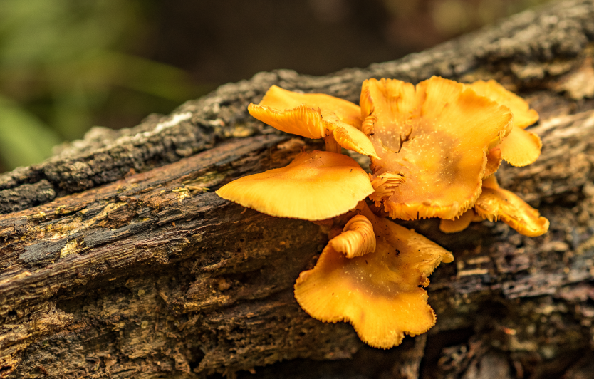 Image Stovell`s Blog