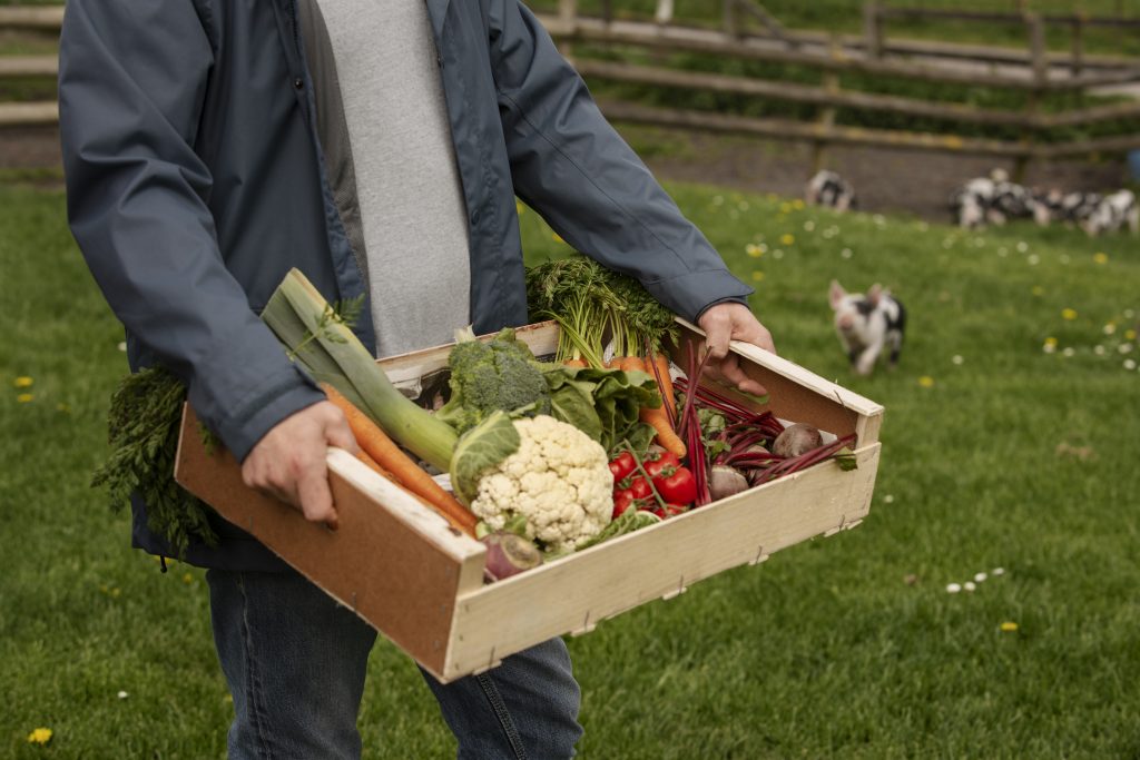 Male person carrying a wood box with many different vegetables and fruits inside.